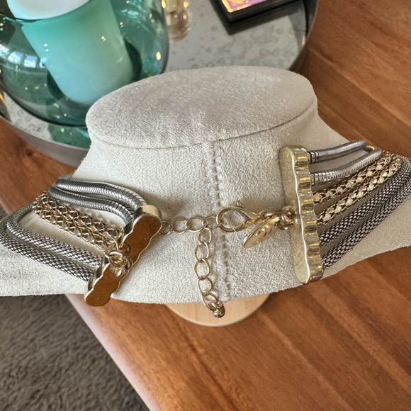 Charming Charlie Multi Strand Chain Necklace - Picture 8 of 9